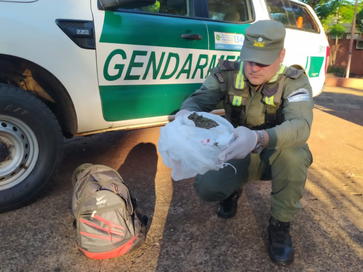 pasajero_ocultaba_una_bolsa_con_cogollos_de_marihuana_1
