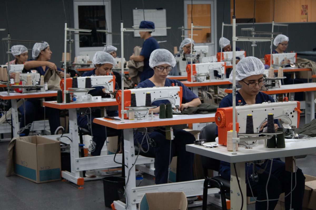 trabajo y oficina de empleo