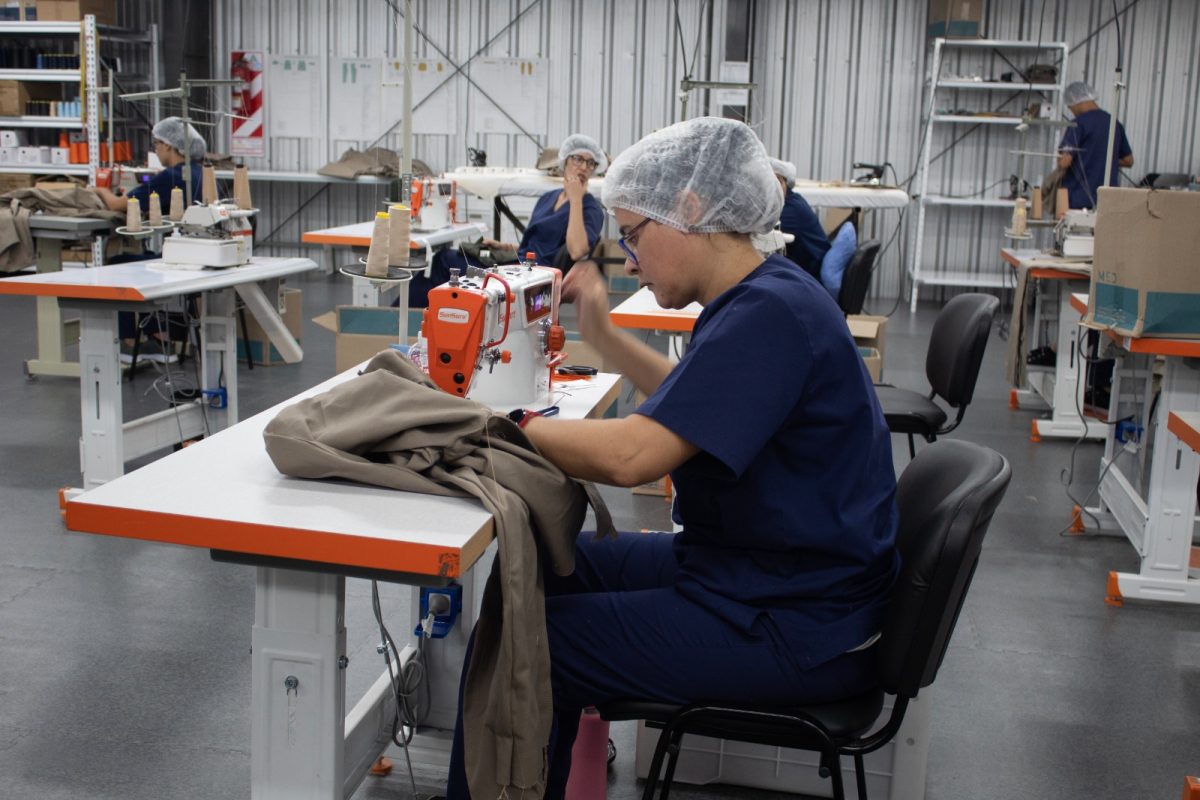 trabajo y oficina de empleo 3 - 3