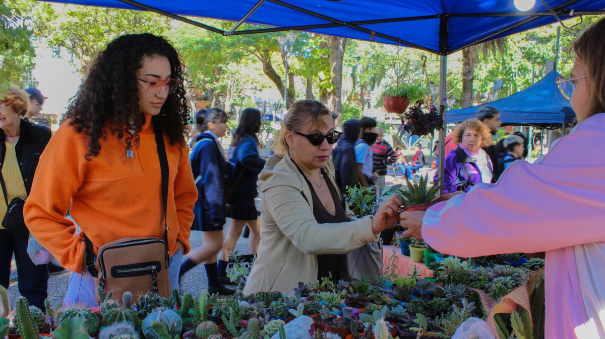 Balance positivo para el paseo comercial 