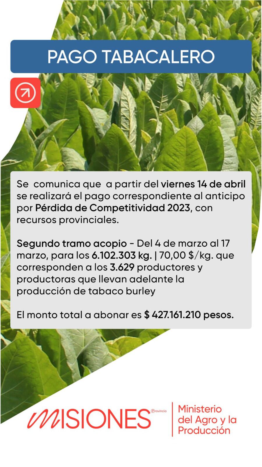 El viernes pagarán más de 400 millones de pesos a productores tabacaleros misioneros