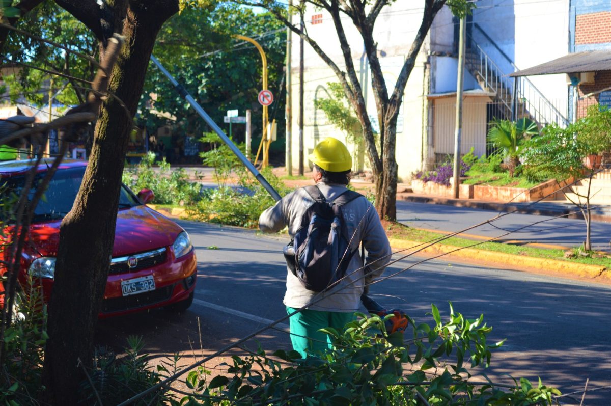 El operativo integral de poda comenzará en mayo en Posadas 2 2 - El 2