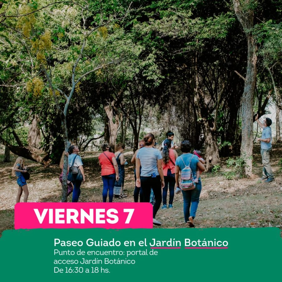 IMG 20230403 WA0066 - 5