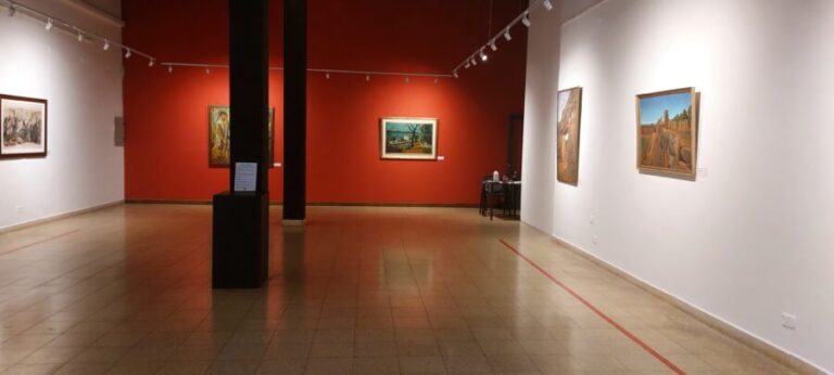 Este viernes inauguran la muestra “Ambay, Poética de lo Transitorio” en el museo Juan Yaparí
