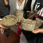 Coordinan actividades para fortalecer la Comunidad Terapéutica de la Unidad Penal V de Mujeres 4 8 - Unidad Penal V 1 - 7