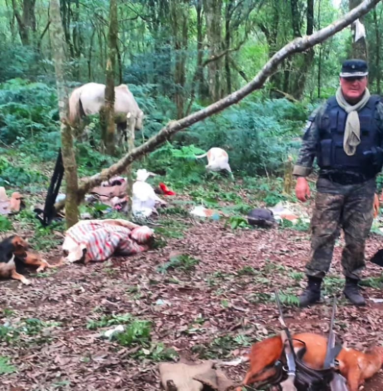 Detuvieron a un cazador en el Parque Urugua-í: descubrieron un arsenal de armas, trampas, y animales faenados
