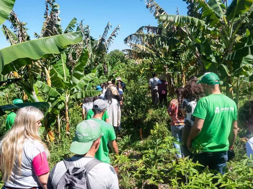 La agroecología, un concepto que crece en las chacras misionera