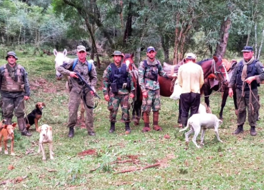 Detuvieron a un cazador en el Parque Urugua-í: descubrieron un arsenal de armas, trampas, y animales faenados
