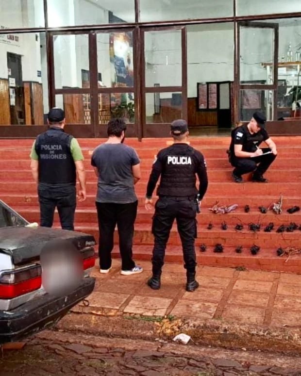 detenidos y elementos 3 1 - 5