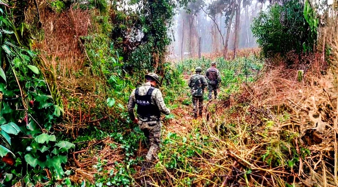 La Dirección Defensa del Medio Ambiente recorre semanalmente 600 kilómetros de zonas verdes