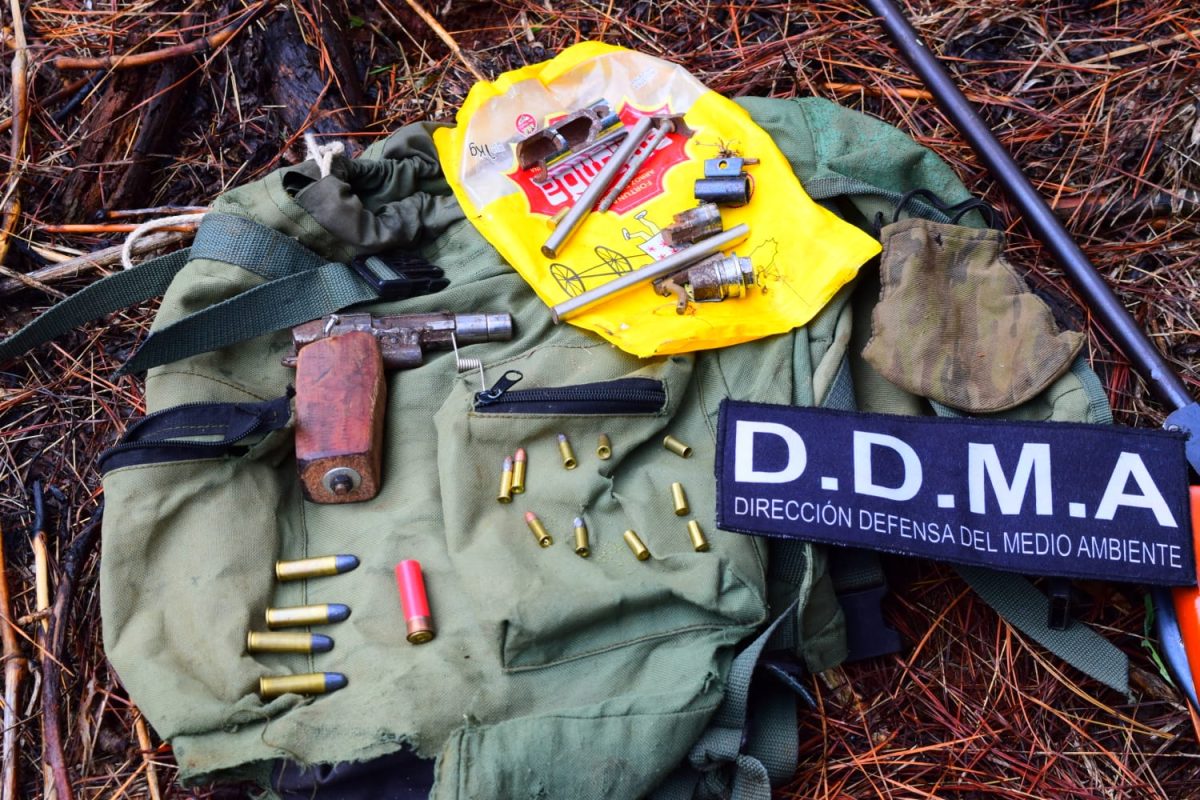 direccion medio ambiente 2 - 21