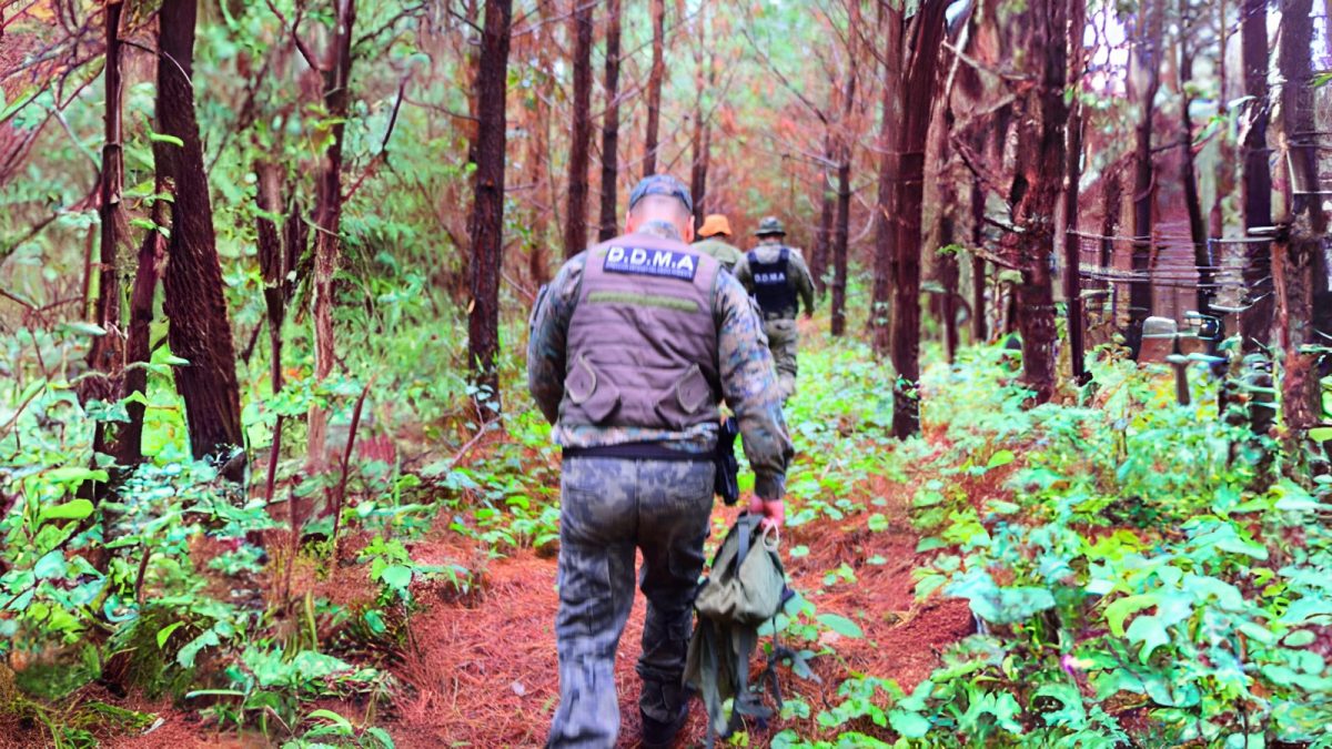 direccion medio ambiente 6 - 29