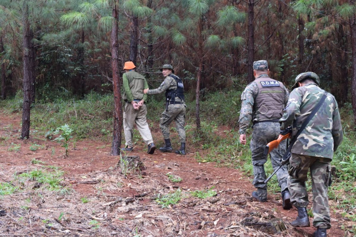 direccion medio ambiente 7 - 31