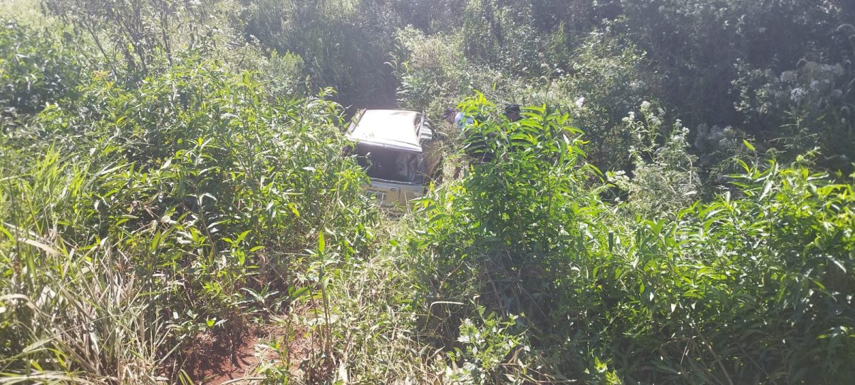 Tragedia en Esperanza: fallecieron dos hombres tras un siniestro vial en la ruta 12