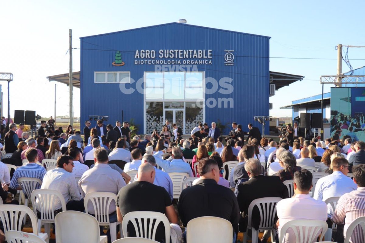 inauguracion 3 - 6