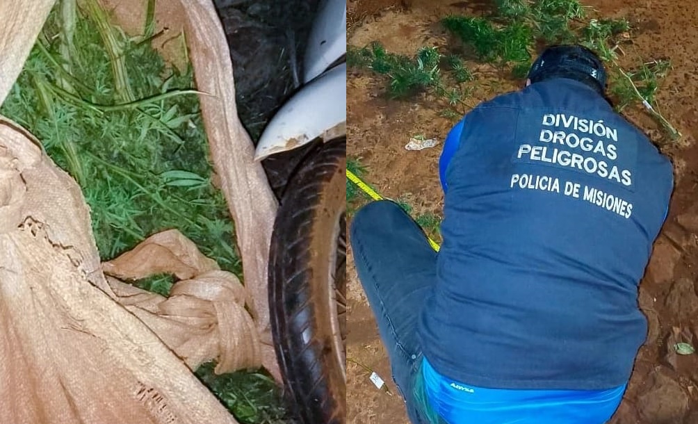 Policías evitaron la distribución de droga en Dos de Mayo