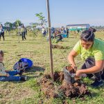plantacion de arboles 1 - 7