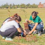 plantacion de arboles 2 - 5