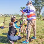 plantacion de arboles 3 - 3