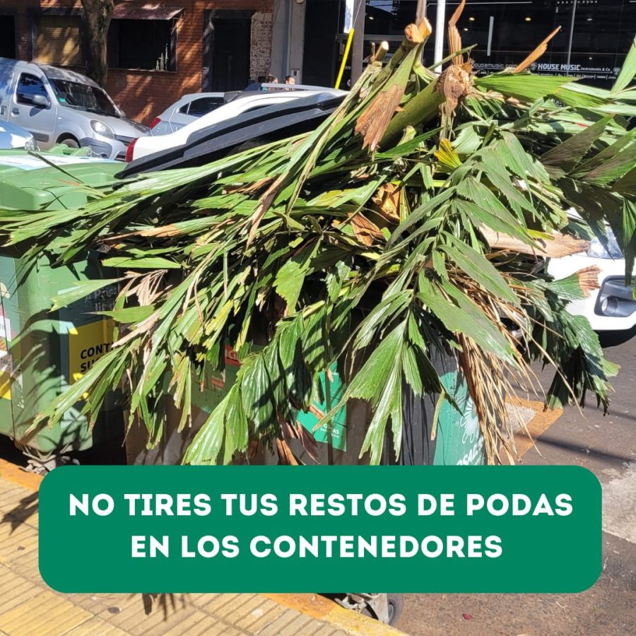 Posadas: piden evitar depositar restos de poda en los contenedores de residuos domésticos