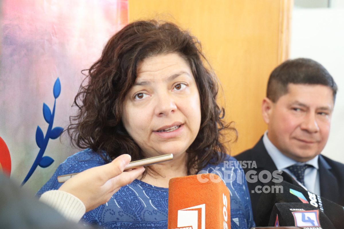 Se desarrolló en Posadas el Pre Congreso de la Asociación Argentina de Salud Pública