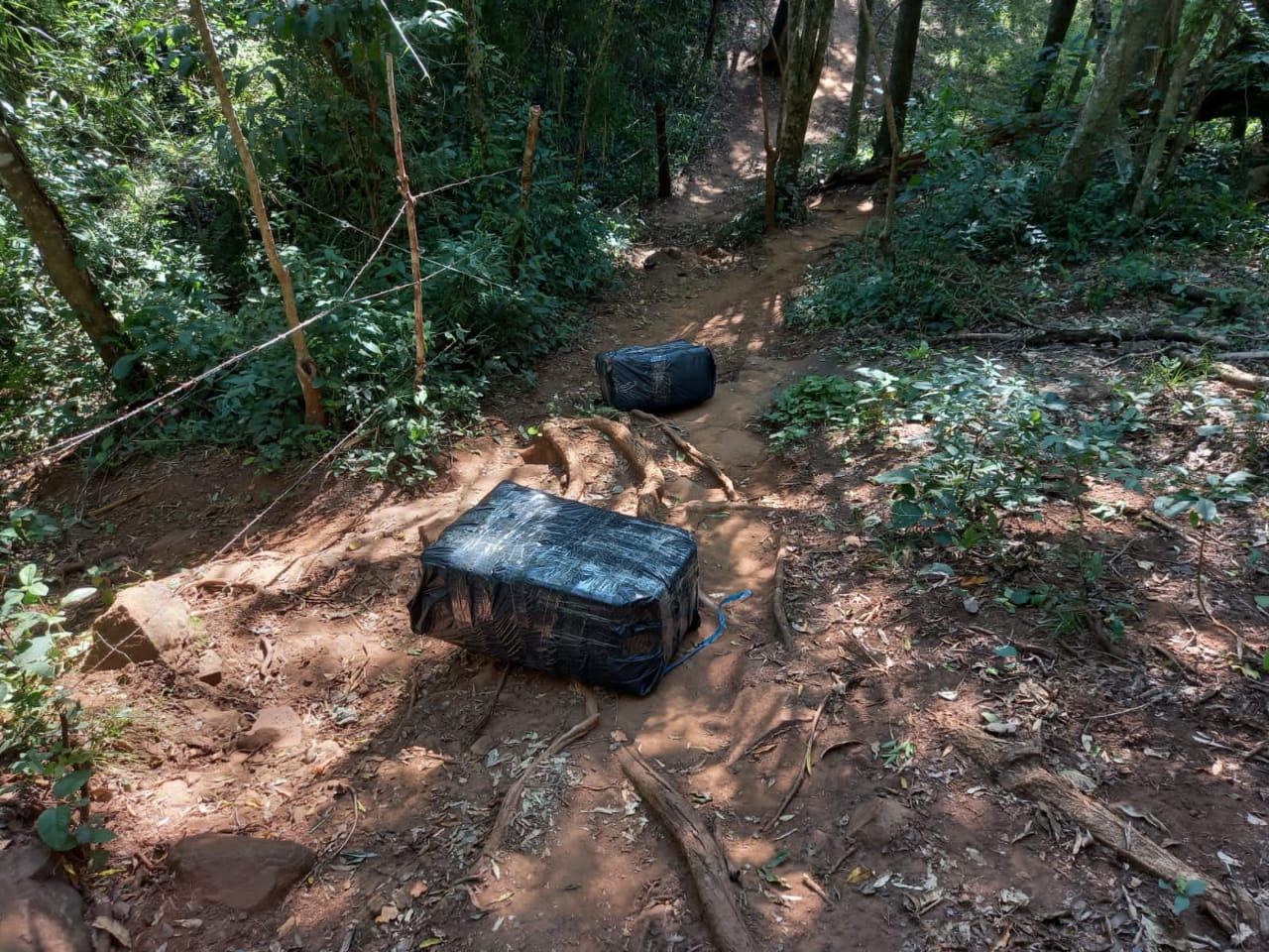 Secuestraron casi 62 kilos de marihuana en San Ignacio