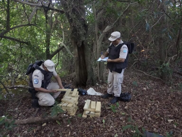 Secuestraron marihuana valuada en más de $100 millones en Iguazú e Ituzaingó