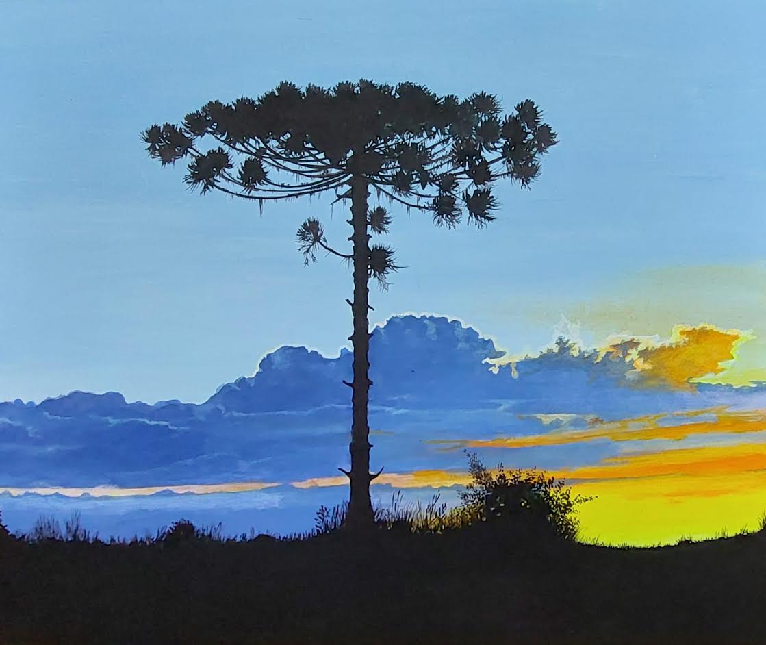 Daniel Tabbia muestra "Araucarias y aves de Misiones" en el Yaparí de Posadas 1 2 - Daniel Tabbia 1 1 - 1