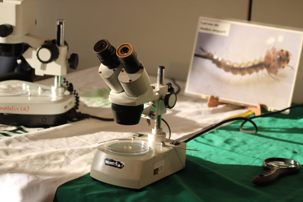 IMG 20230517 WA0097 1 - 1