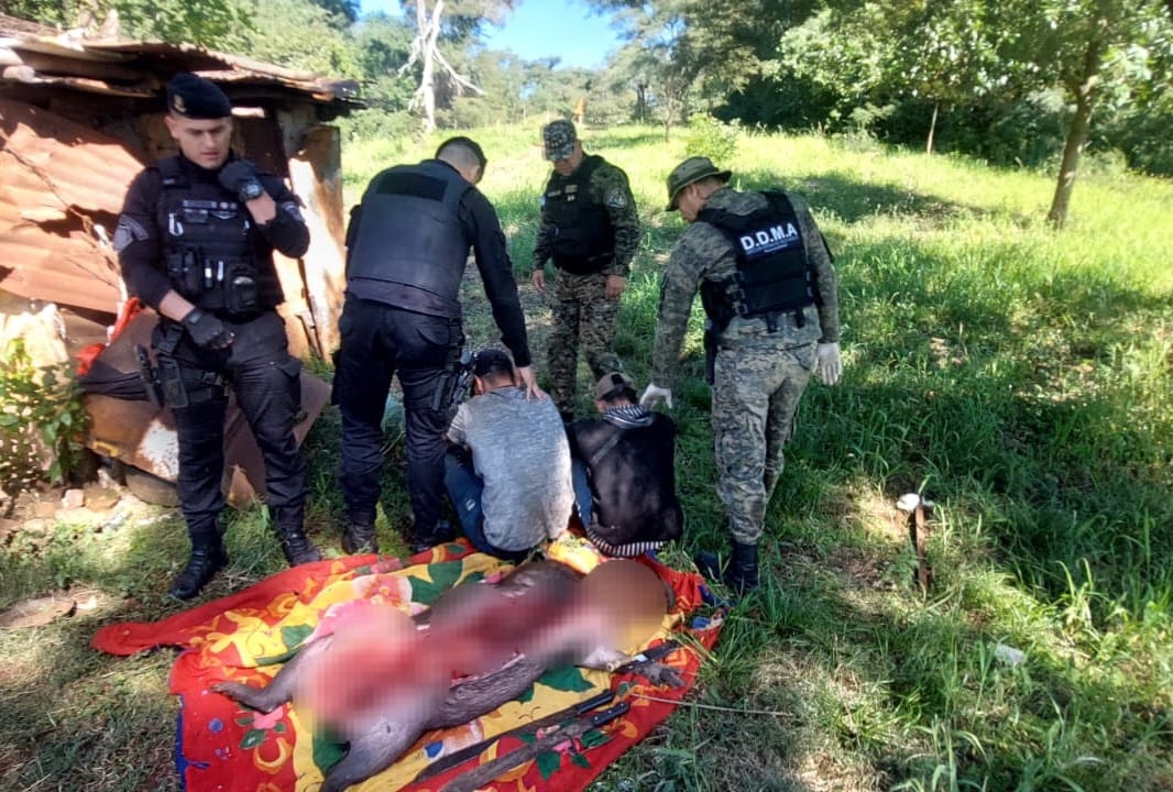 Candelaria: atraparon a dos cazadores cuando faenaban a un carpincho