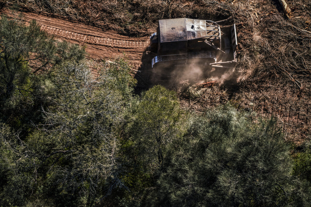 América Latina perdió más de 39 millones de hectáreas de bosques