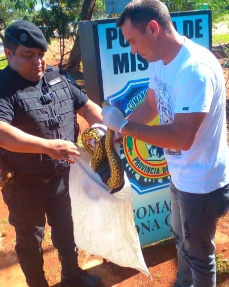 maltrato animal 2 - 5