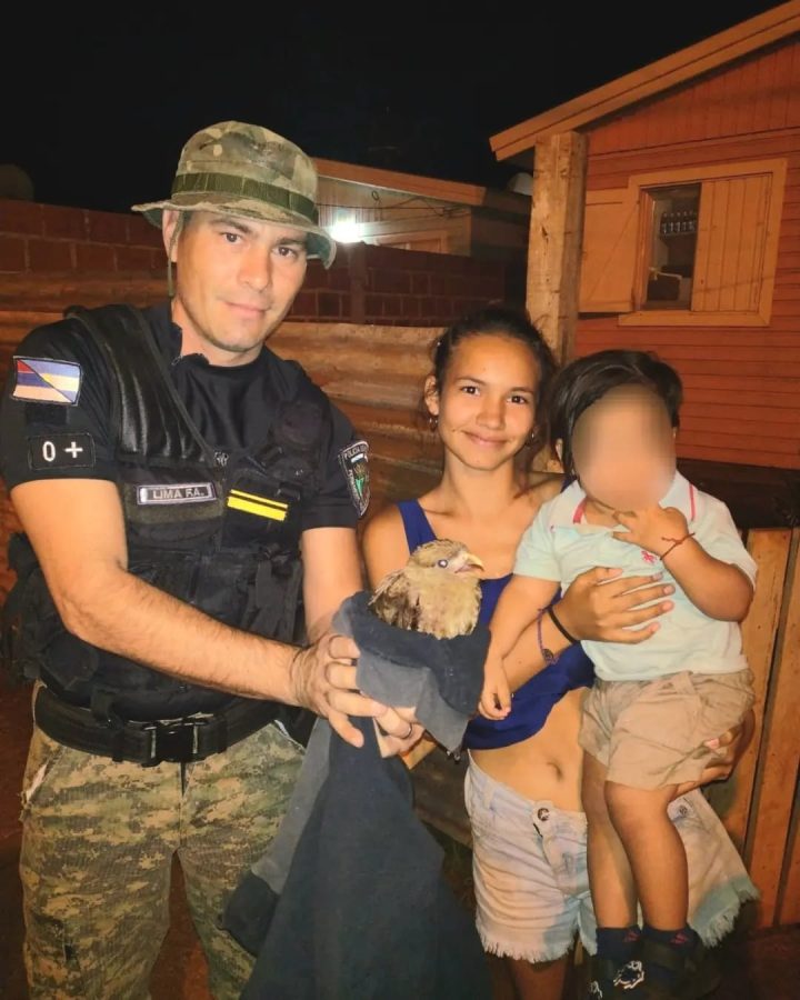 maltrato animal 5 - 11