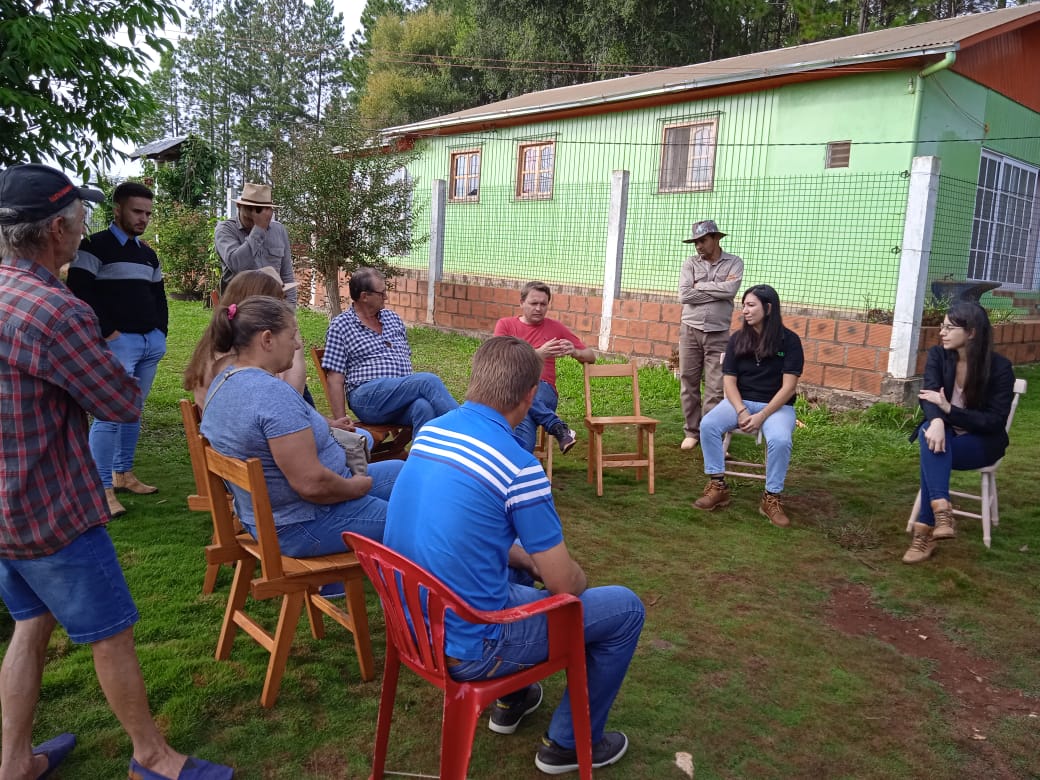 produccion de banano 3 - 3