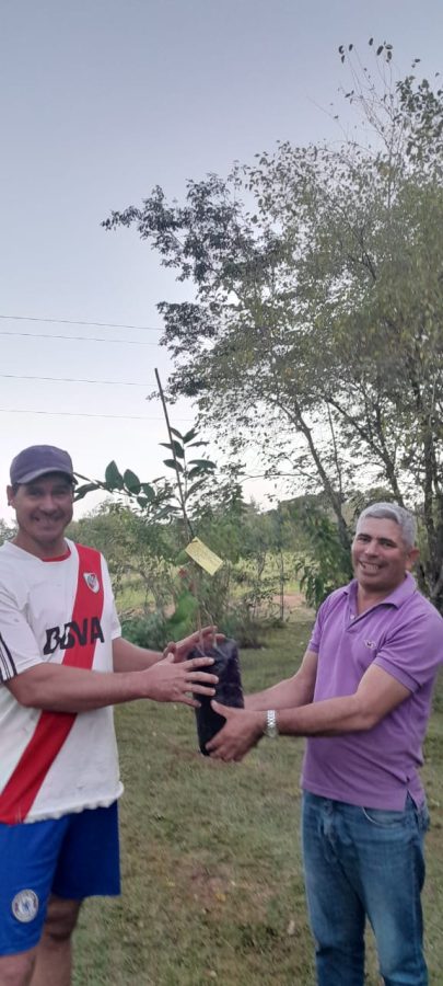 Productores recibieron plantines de cítricos y eucaliptus para emprender la diversificación productiva 3 6 - productores 4 - 5