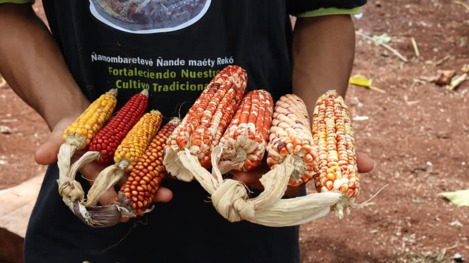 Comunidades Mbya