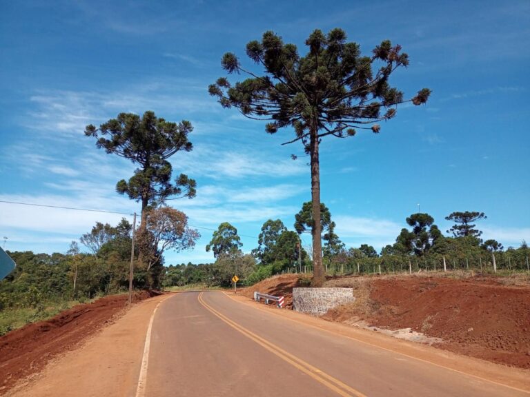 Se protegieron araucarias en el nuevo acceso pavimentado a Tobuna