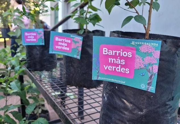 Promueven la arborización y embellecimiento urbano en Posadas 2 Promueven la arborización y embellecimiento urbano en Posadas