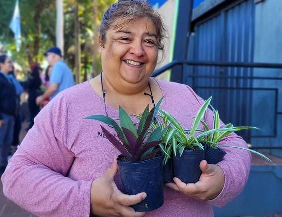 Promueven la arborización y embellecimiento urbano en Posadas 3 Promueven la arborización y embellecimiento urbano en Posadas