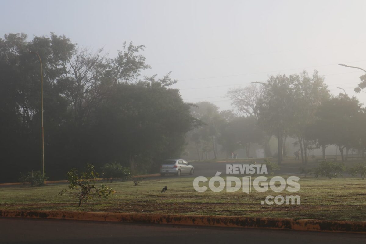 Tiempo: mañana fría con niebla y tarde cálida