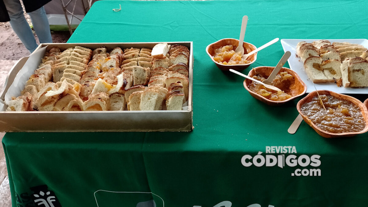 encuentro de pioneros 10 - 17