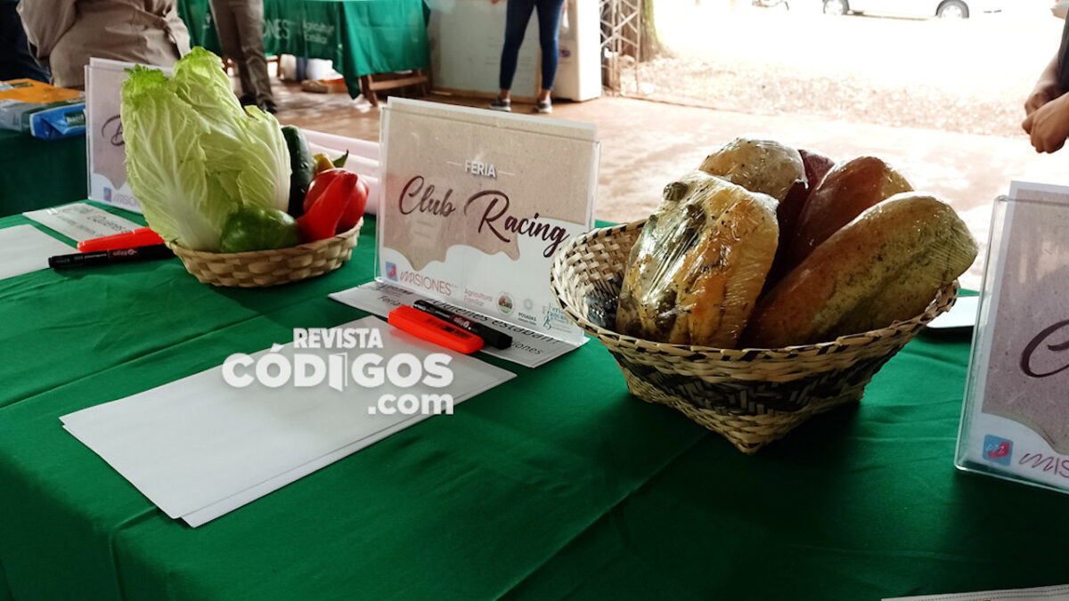 encuentro de pioneros 7 - 11