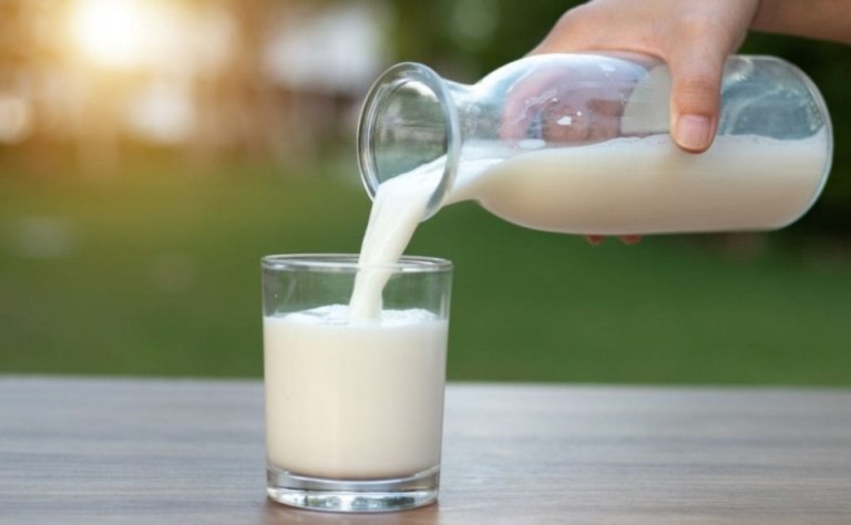 Día Mundial de la Leche: advierten que el 85% de la población no consume más de dos lácteos al día