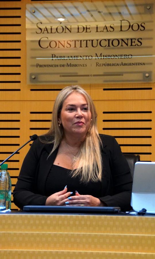 legislatura 7 - 13