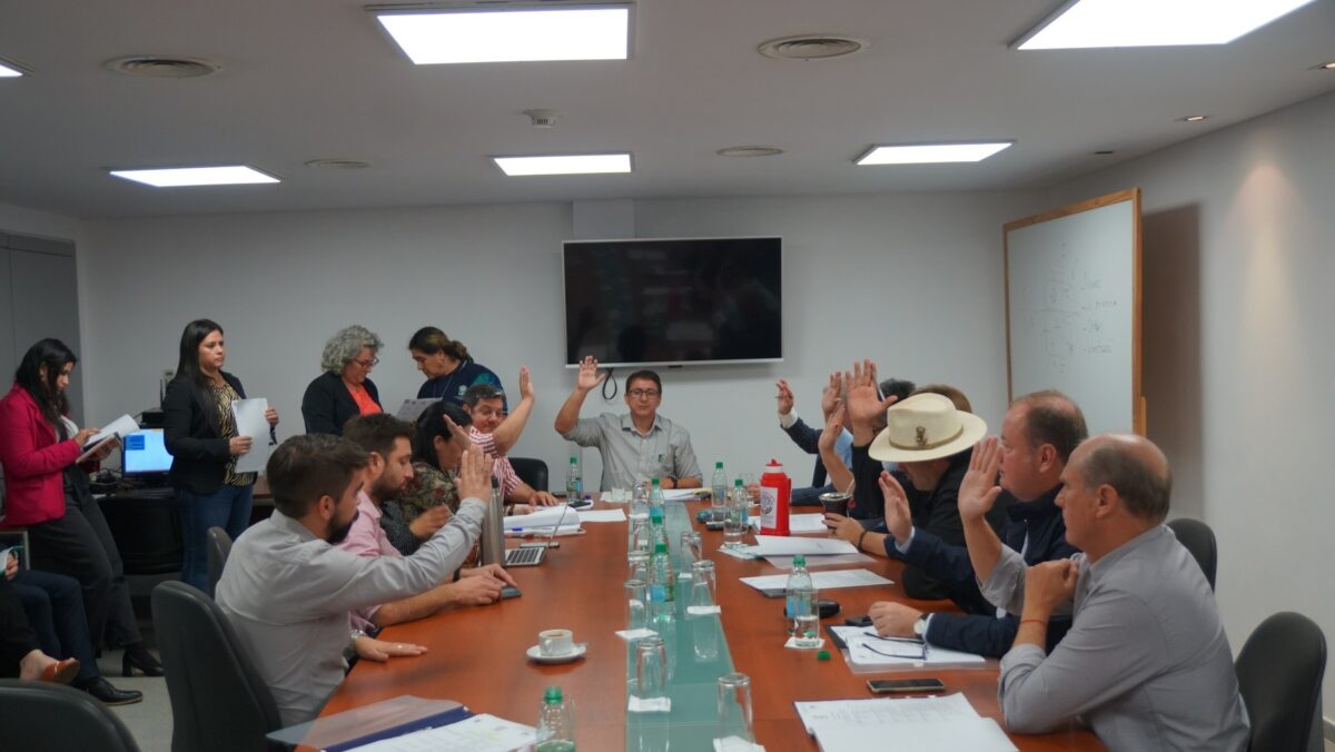proyecto (2)
