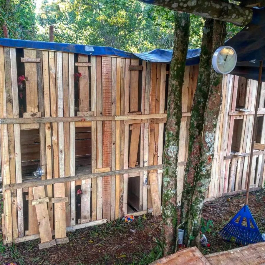 Frustraron riñas de gallos con apuestas clandestinas en Almafuerte 