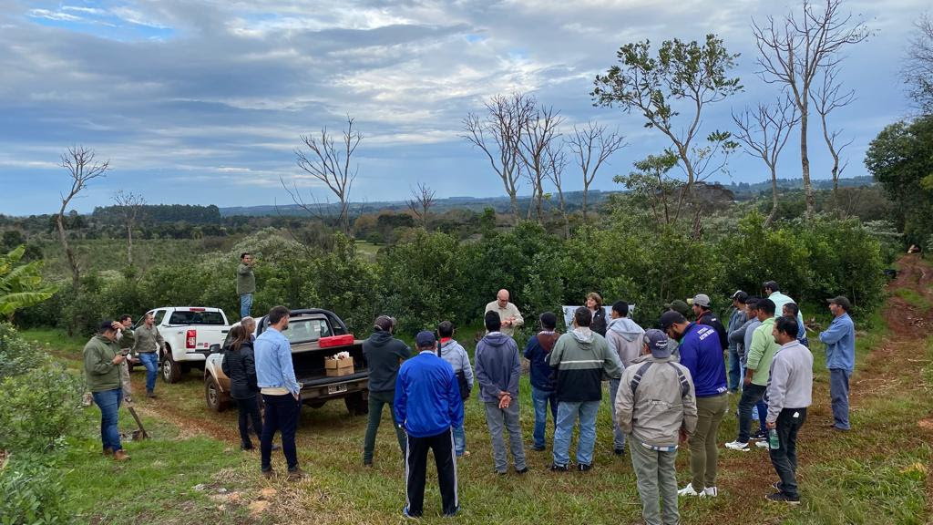 Yerba mate: finalizó un ciclo de capacitaciones para trabajadores rurales dedicados en Misiones