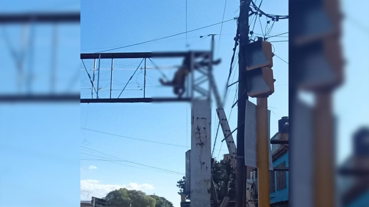 Un Hombre Falleció Electrocutado Mientras Arreglaba Un Cartel De ...