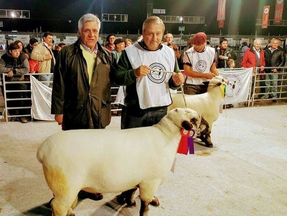 Misiones participará de la 135º Expo Rural de Palermo 3 Misiones participará de la 135º Expo Rural de Palermo