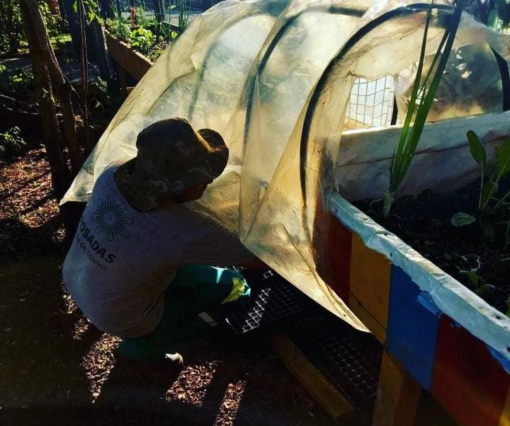 IMG 20230721 WA0105 - 1